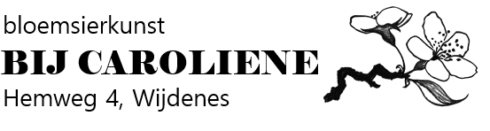 Terug naar Home - Bloemen bij Caroliene